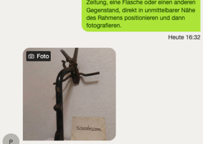 Simson Rahmen Chat 2